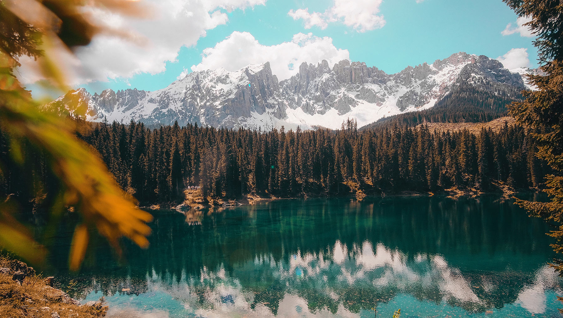 cristina-gottardi-GJ8ZQV7eGmU-unsplash