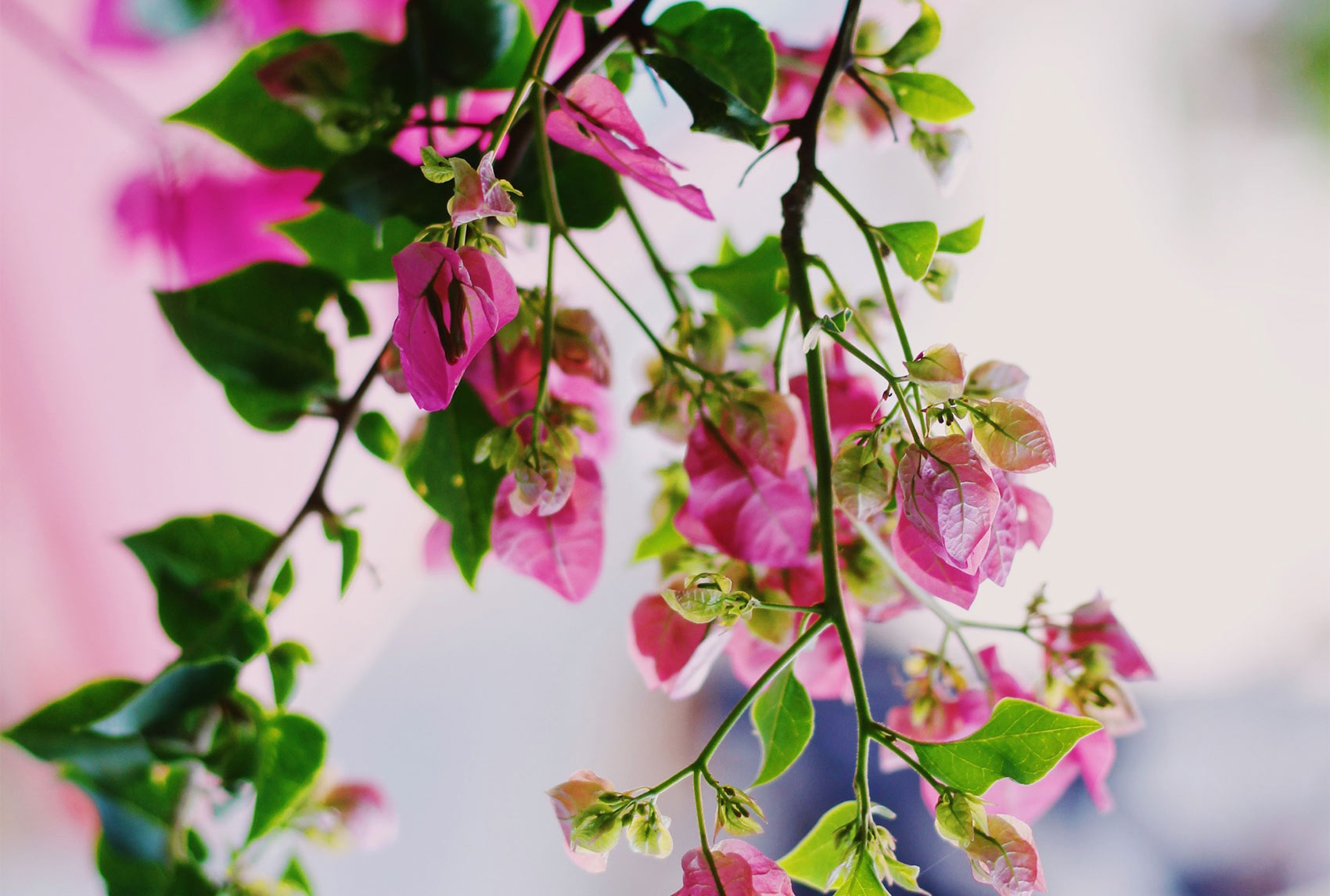 doaa-fadally-DTrNO-MiB0k-unsplash